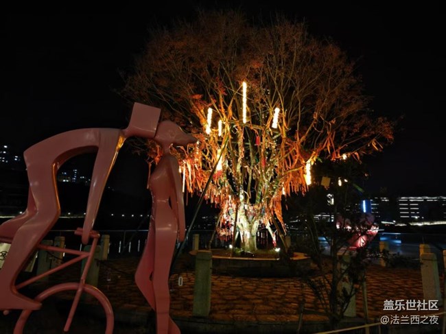 【2026第一站】出去走走