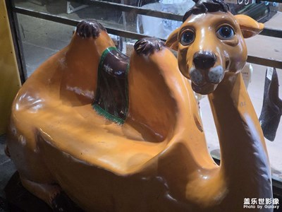 【以光影，敬新年】骆驼座椅