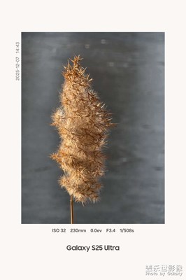 【镜头里的故事】+冬日暖阳