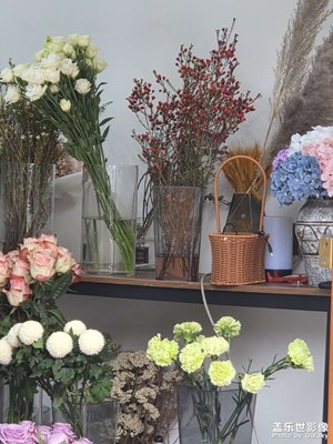 【以光影,敬新年】冬天的温暖