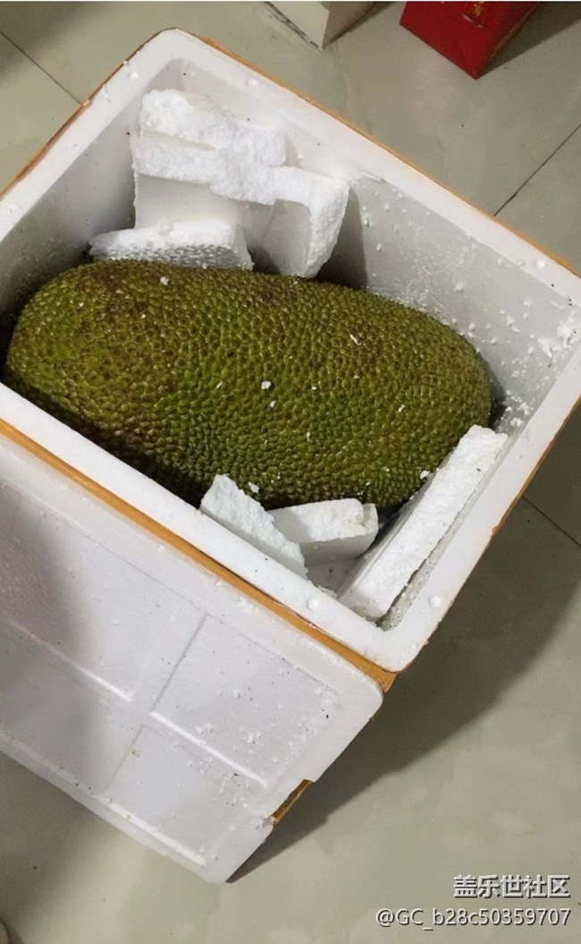 【冬日暖胃计划】热带水果