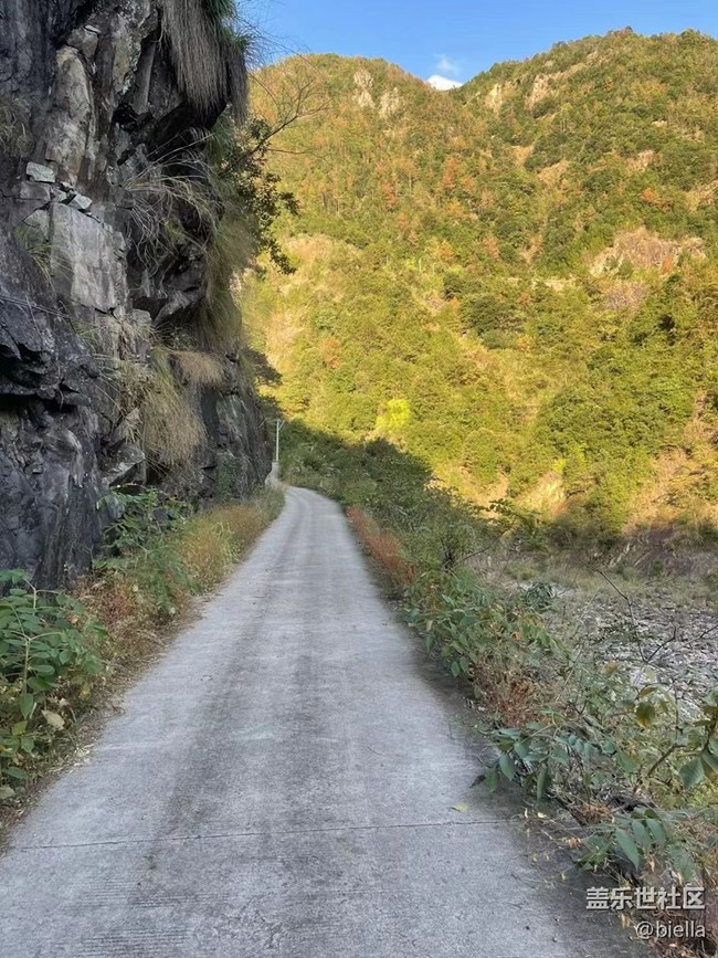 【折叠屏手机里的春夏秋冬】户外