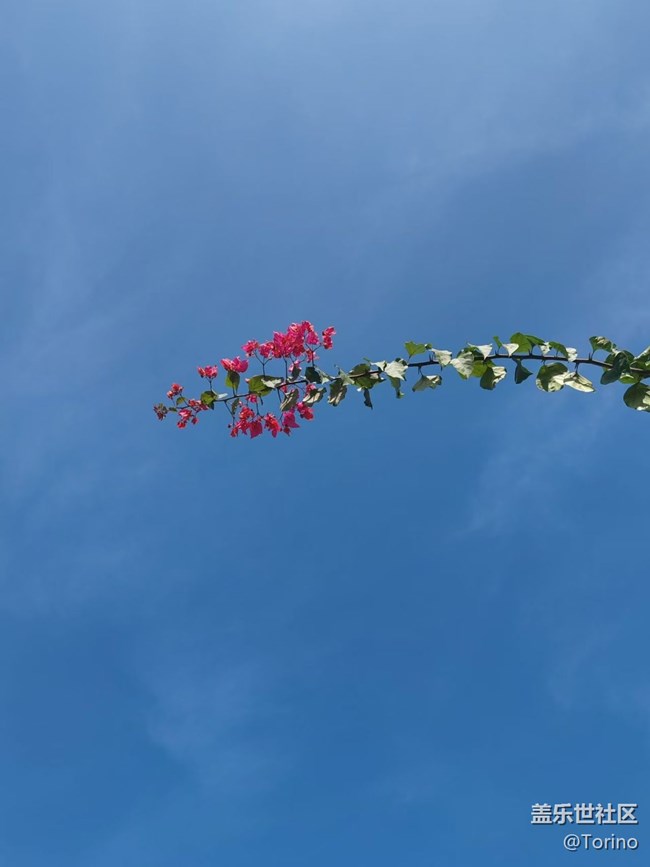 【折叠屏手机里的春夏秋冬】秋景