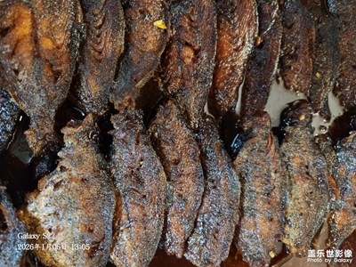 【镜头里的故事】+随拍