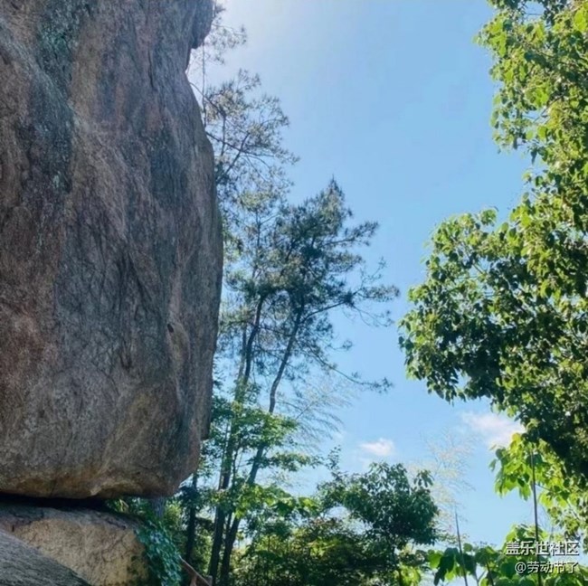 【折叠屏手机里的春夏秋冬】爬山看风景