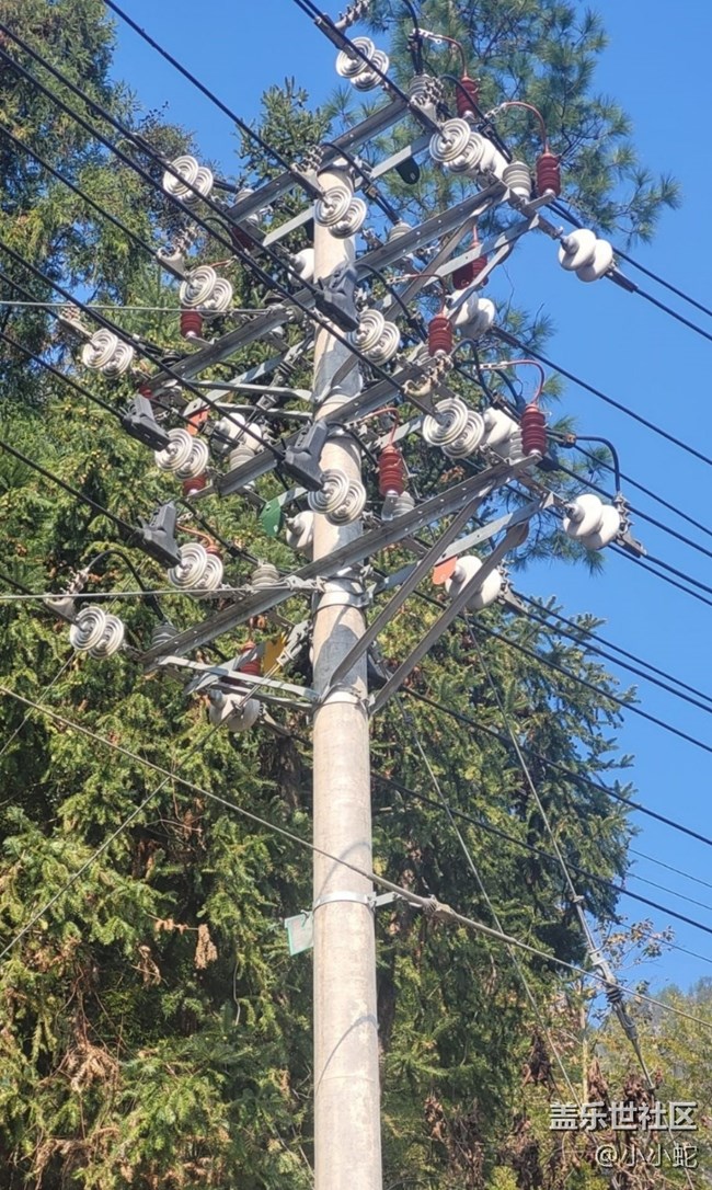 【折叠屏手机里的春夏秋冬】冬日胜春晖