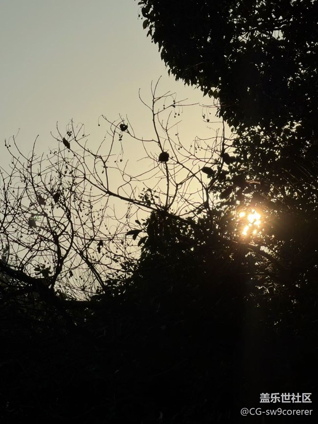 【折叠屏手机里的春夏秋冬】清晨