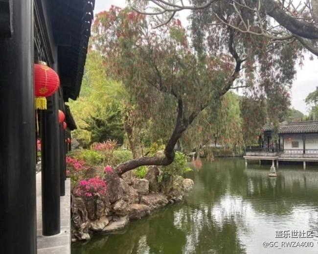 【折叠屏手机里的春夏秋冬】万物复苏