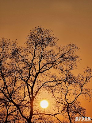 【镜头里的故事】+冬日夕阳