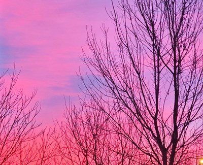 【摄影版块一月第三周】身边的小自然