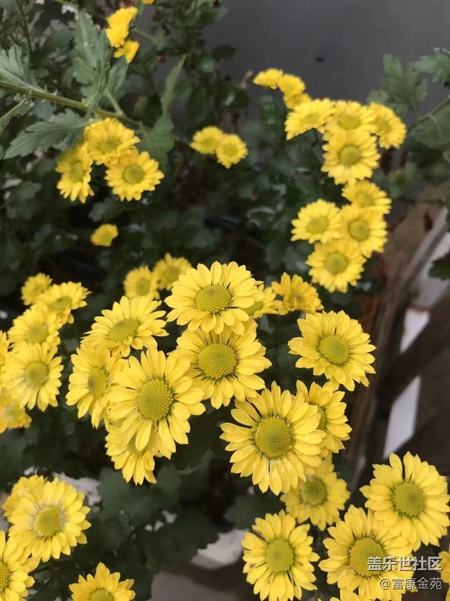 【折叠屏手机里的春夏秋冬】大自然