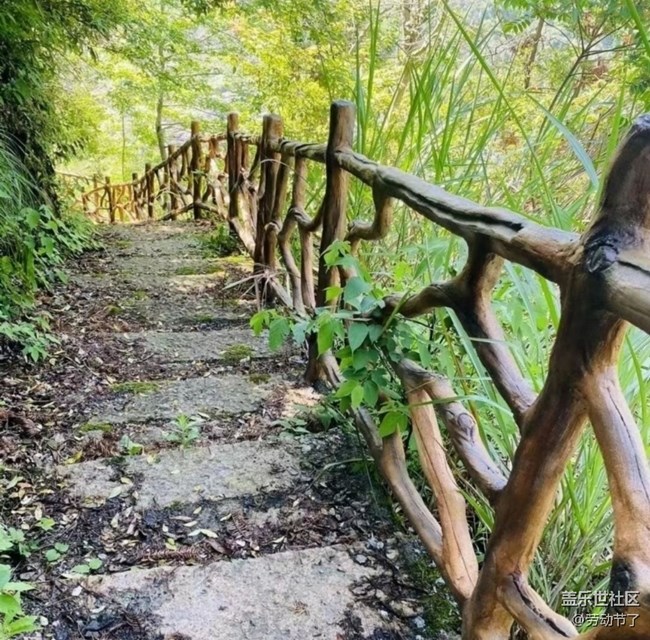 【折叠屏手机里的春夏秋冬】爬山看风景
