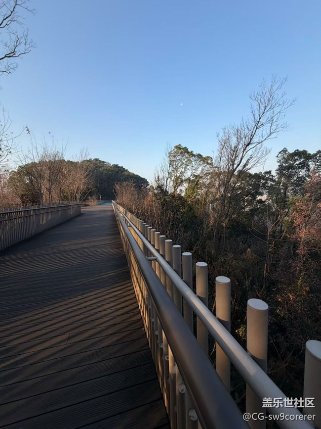 【折叠屏手机里的春夏秋冬】清晨