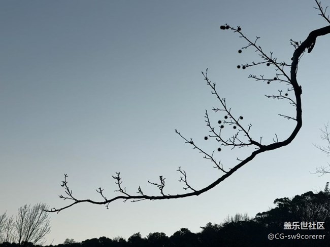 【折叠屏手机里的春夏秋冬】清晨