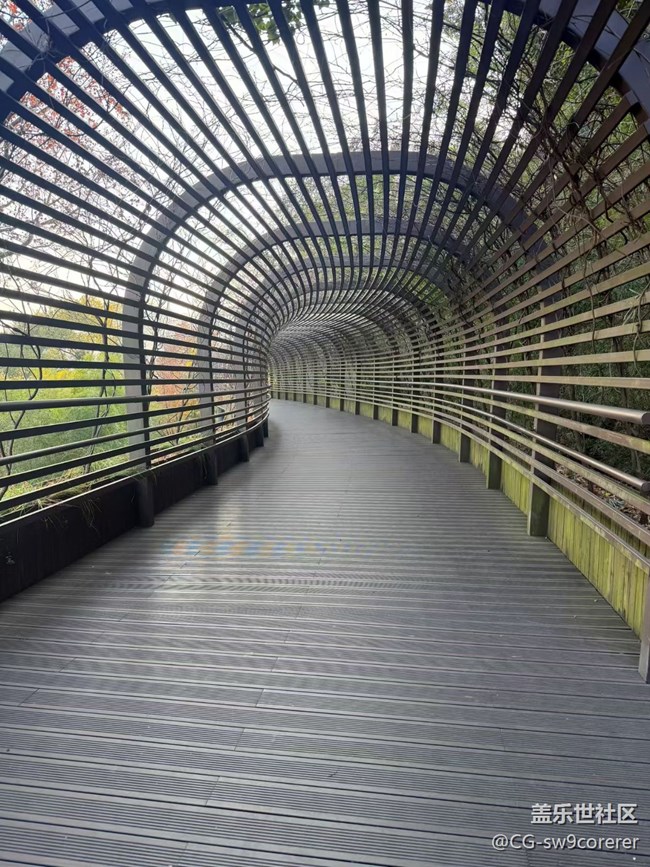 【折叠屏手机里的春夏秋冬】清晨