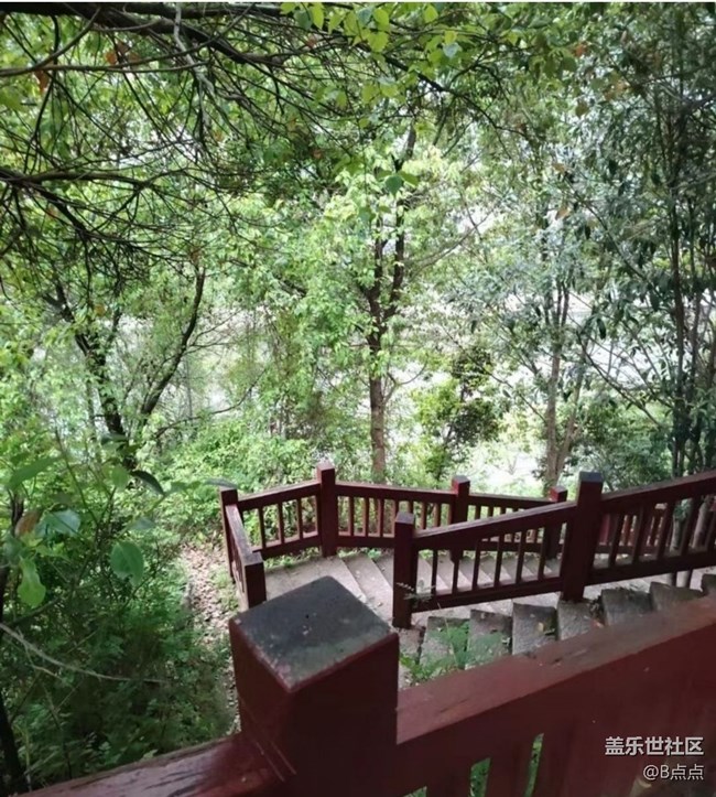 【折叠屏手机里的春夏秋冬】鸟语花香