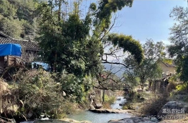 【折叠屏手机里的春夏秋冬】春天随拍