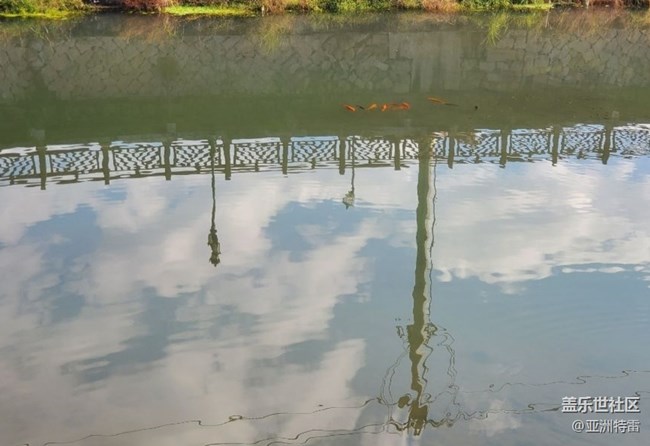 【折叠屏手机里的春夏秋冬】秋游