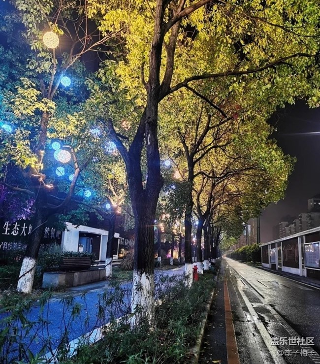 【折叠屏手机里的春夏秋冬】秋雨夜