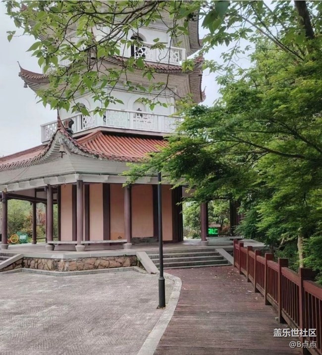 【折叠屏手机里的春夏秋冬】鸟语花香