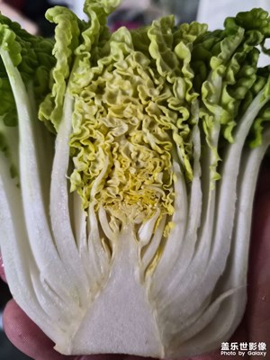 【镜头里的故事】我和我的三星