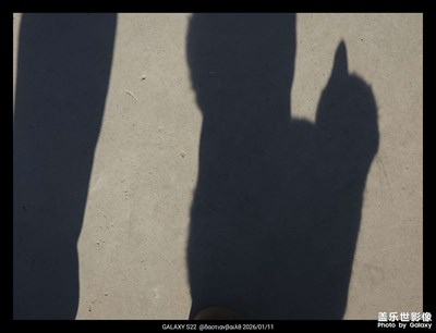 【镜头里的故事】+恋家的猫