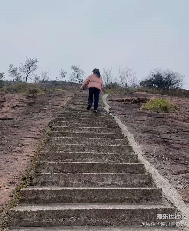 【折叠屏手机里的春夏秋冬】春天爬个山