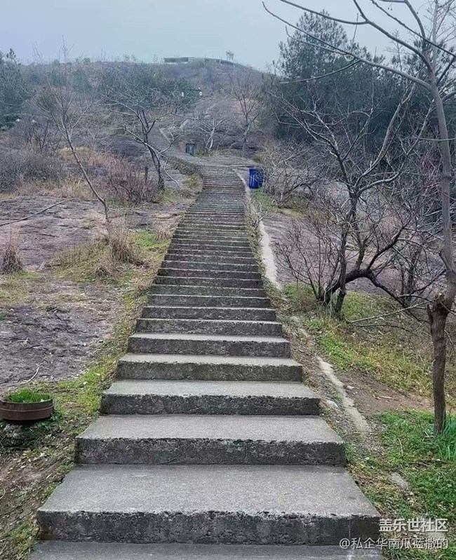 【折叠屏手机里的春夏秋冬】春天爬个山