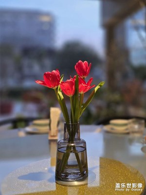 餐桌上的小风景