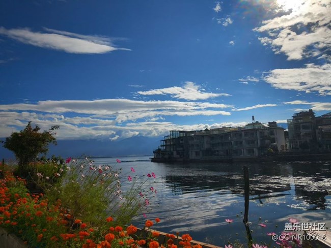 【折叠屏手机里的春夏秋冬】夏季洱海