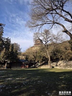 泪眼问花花不语，乱红飞过秋千去。