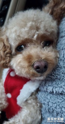 【镜头里的故事】+小可爱