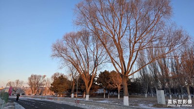 【镜头里的故事】公园风景