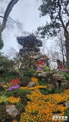 【镜头里的故事】横跨南北