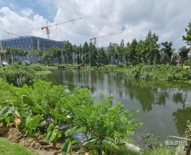 【折叠屏手机里的春夏秋冬】春意盎然