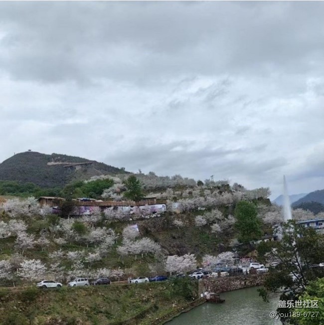 【折叠屏手机里的春夏秋冬】好春光