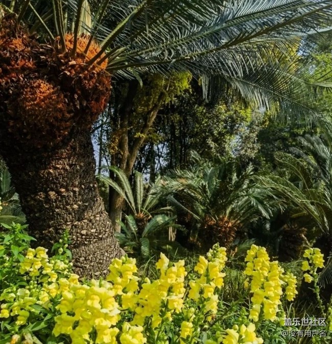 【折叠屏手机里的春夏秋冬】春日美景