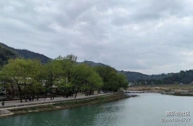 【折叠屏手机里的春夏秋冬】好春光