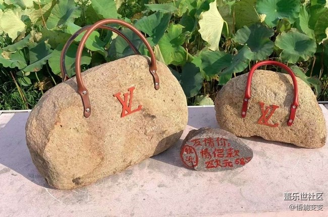 【折叠屏手机里的春夏秋冬】夏末赏荷