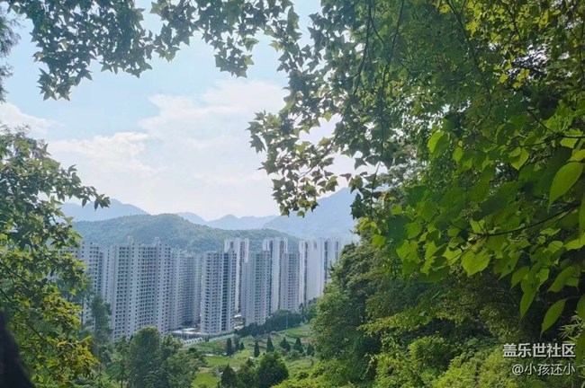 【折叠屏手机里的春夏秋冬】大自然