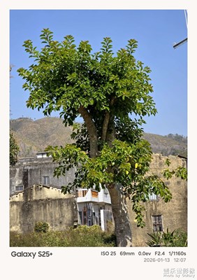 【镜头里的故事】乡下生活