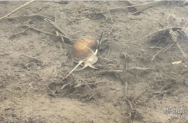 【折叠屏手机里的春夏秋冬】插秧忙