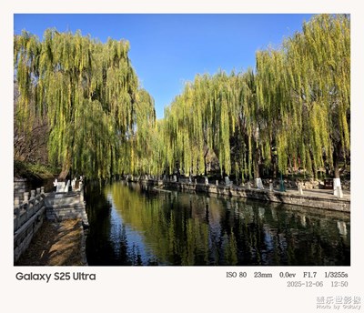 【镜头里的故事】+冬日随拍