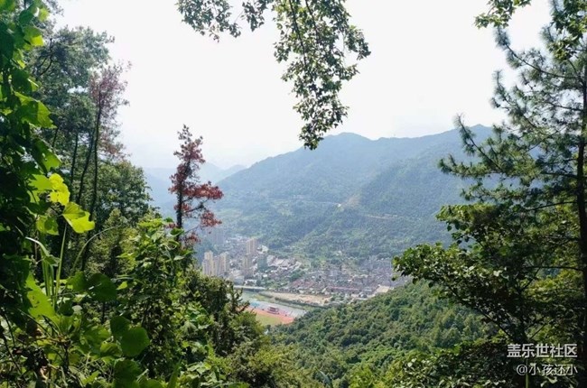 【折叠屏手机里的春夏秋冬】大自然