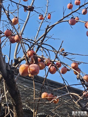 【镜头里的故事】翰林宅第