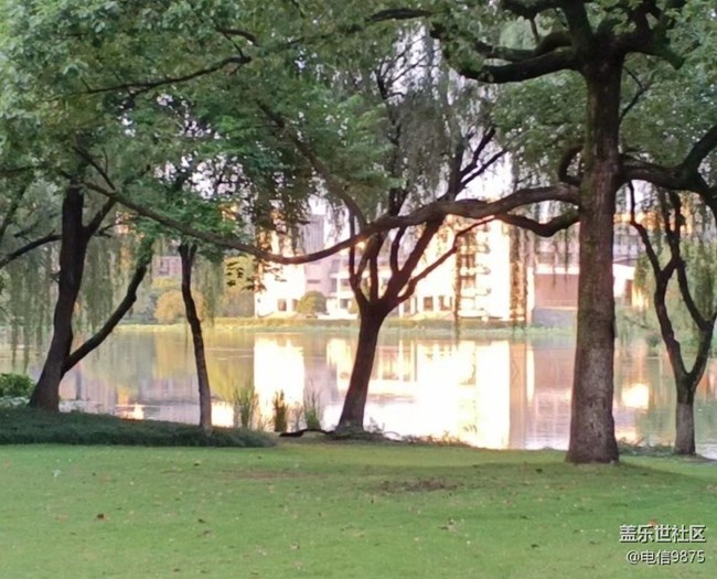 【折叠屏手机里的春夏秋冬】初秋