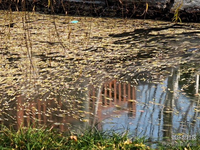 【冬韵】冬日随拍