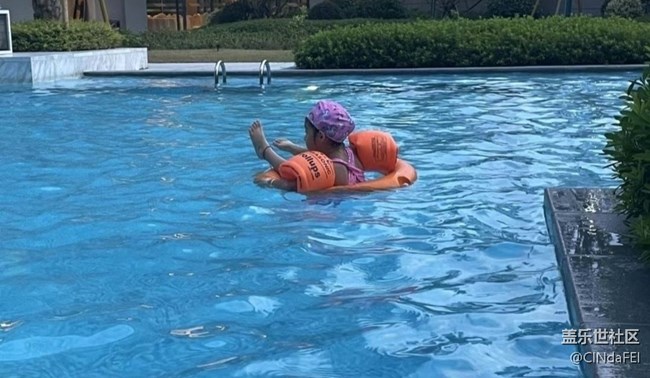 【折叠屏手机里的春夏秋冬】戏水