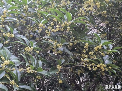 【镜头里的故事】拍下秋天