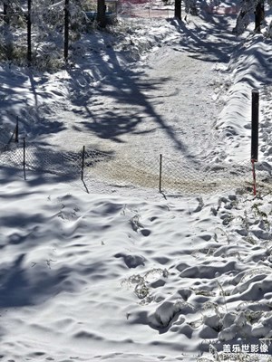 【镜头里的故事】雪景